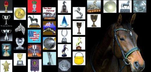 Season 35 Cup winners Season 35 Cup winners