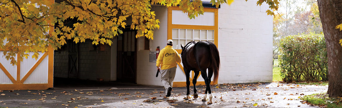 In Kentucky’s Fields Of Dreams